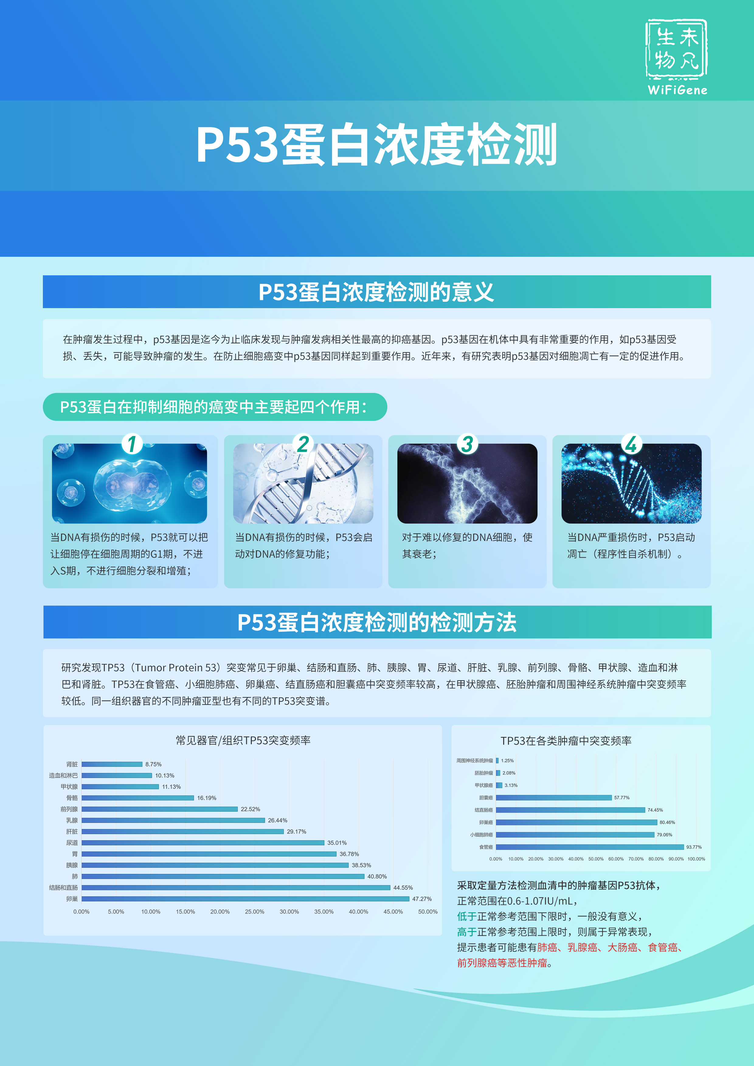 P53蛋白浓度检测.jpg