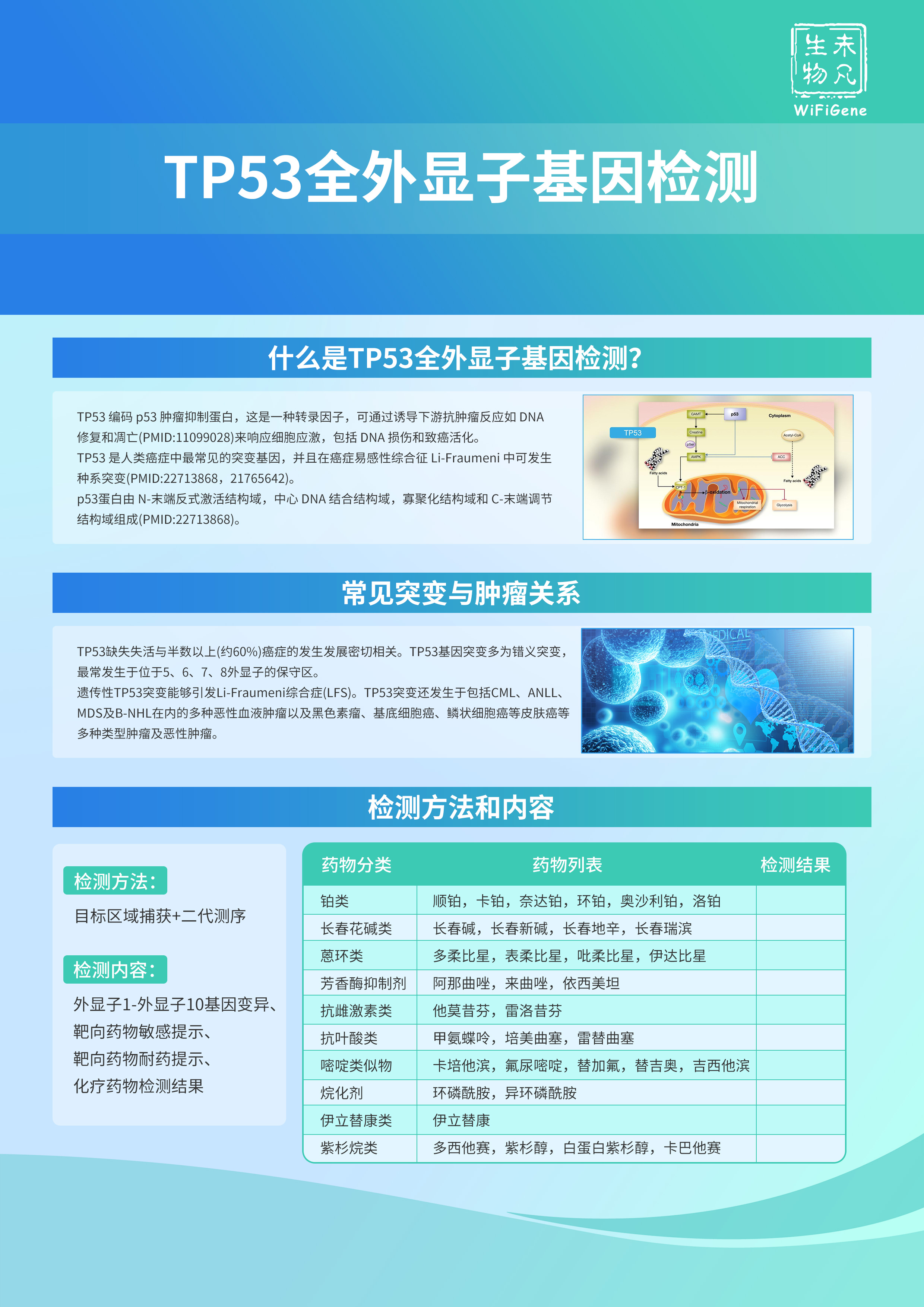P53全外显子检测.jpg
