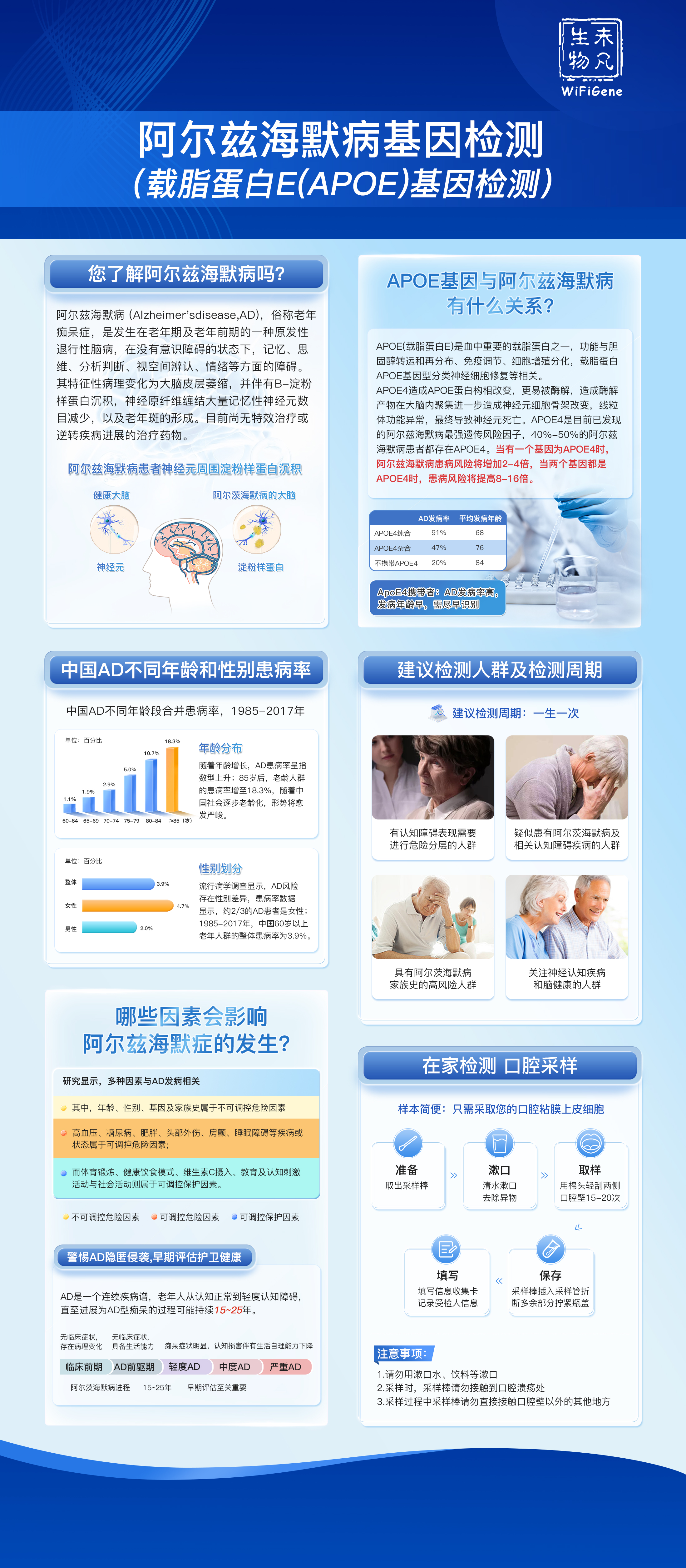 APOE基因分型检测240823.jpg