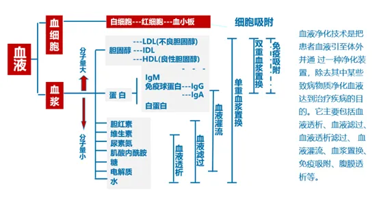 医学科普：什么是血液净化？你想知道的干货都在这里，不要再和透析分不清啦 未凡生物 